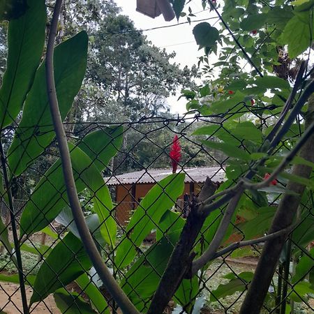 Sitio Das Bromelias Cachoeira Do Tombador Ubatuba Exteriér fotografie