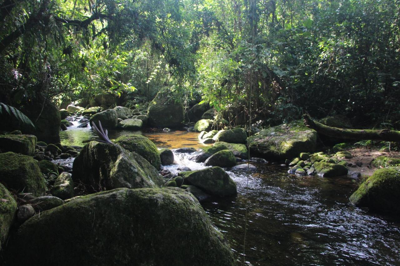 Sitio Das Bromelias Cachoeira Do Tombador Ubatuba Exteriér fotografie